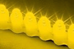 Светодиодная гибкая влагозащищенная сверхъяркая линейка - желтая