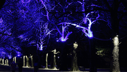 Подсветка деревьев в парке