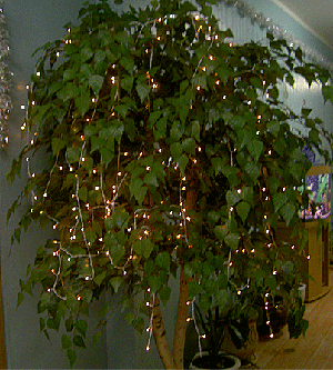 Подсветка дерева светодиодной гирляндой Твинкл Лайт (twinkle light)