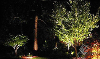 декоративная подсветка деревьев